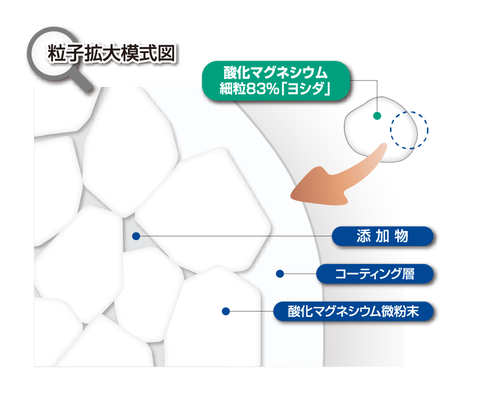 粒子拡大模式図